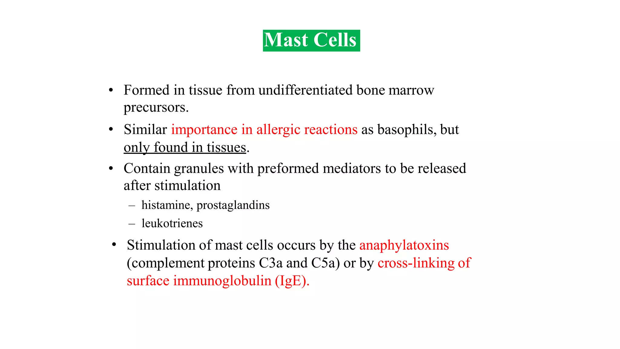 Mast Cells
• Formed in tissue from undifferentiated bone marrow
precursors.
Similar importance in allergic reactions as basophils, but
only found in tissues.
•
• Contain granules with preformed mediators to be released
after stimulation
– histamine, prostaglandins
– leukotrienes
Stimulation of mast cells occurs by the anaphylatoxins
(complement proteins C3a and C5a) or by cross-linking of
surface immunoglobulin (IgE).
•
 