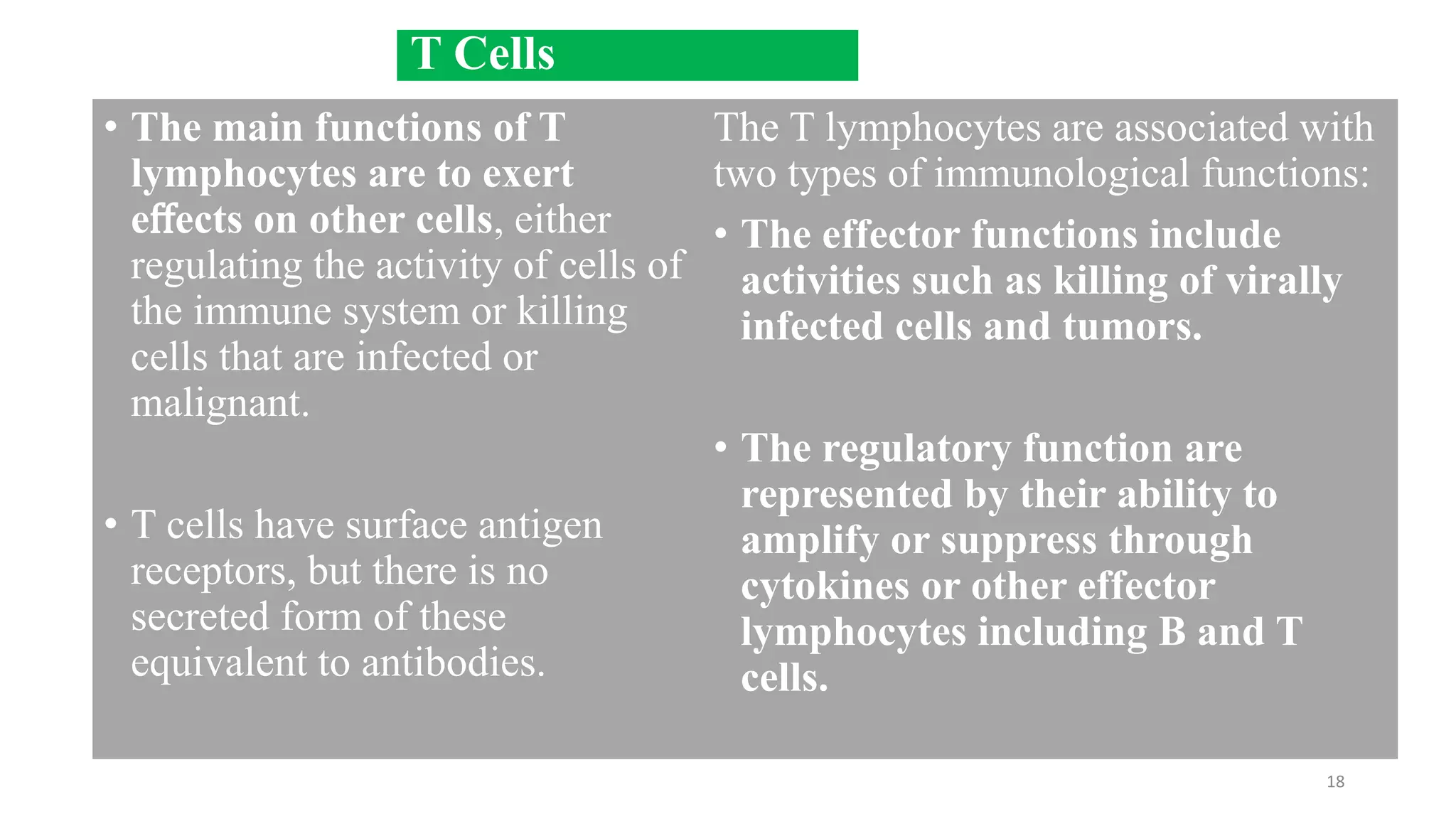 • The main functions of T
lymphocytes are to exert
eﬀects on other cells, either
regulating the activity of cells of
the immune system or killing
cells that are infected or
malignant.
• T cells have surface antigen
receptors, but there is no
secreted form of these
equivalent to antibodies.
18
The T lymphocytes are associated with
two types of immunological functions:
• The effector functions include
activities such as killing of virally
infected cells and tumors.
• The regulatory function are
represented by their ability to
amplify or suppress through
cytokines or other effector
lymphocytes including B and T
cells.
T Cells
 