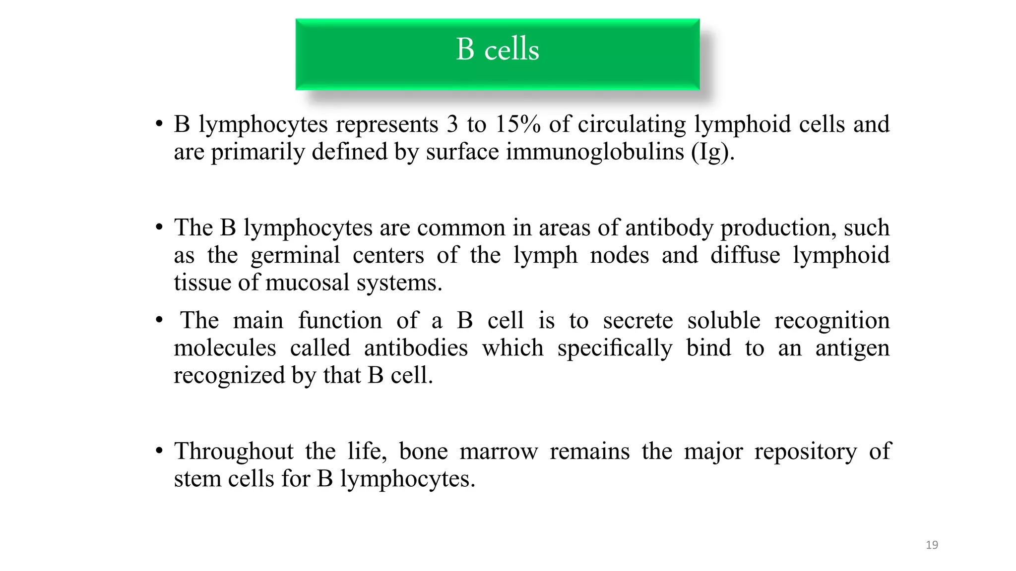 B cells
• B lymphocytes represents 3 to 15% of circulating lymphoid cells and
are primarily defined by surface immunoglobulins (Ig).
• The B lymphocytes are common in areas of antibody production, such
as the germinal centers of the lymph nodes and diffuse lymphoid
tissue of mucosal systems.
• The main function of a B cell is to secrete soluble recognition
molecules called antibodies which speciﬁcally bind to an antigen
recognized by that B cell.
• Throughout the life, bone marrow remains the major repository of
stem cells for B lymphocytes.
19
 