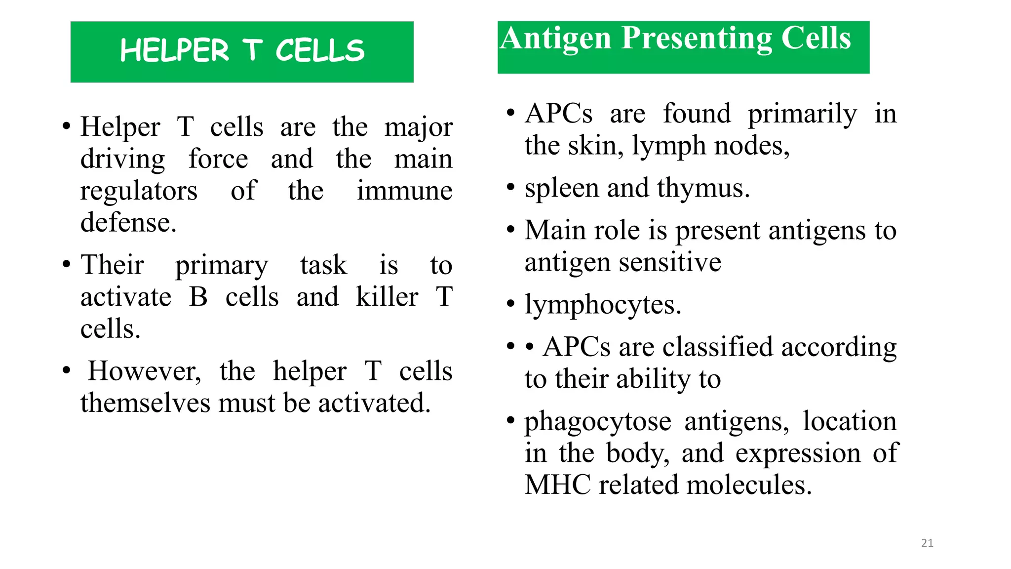 HELPER T CELLS
• Helper T cells are the major
driving force and the main
regulators of the immune
defense.
• Their primary task is to
activate B cells and killer T
cells.
• However, the helper T cells
themselves must be activated.
21
• APCs are found primarily in
the skin, lymph nodes,
• spleen and thymus.
• Main role is present antigens to
antigen sensitive
• lymphocytes.
• • APCs are classified according
to their ability to
• phagocytose antigens, location
in the body, and expression of
MHC related molecules.
Antigen Presenting Cells
 