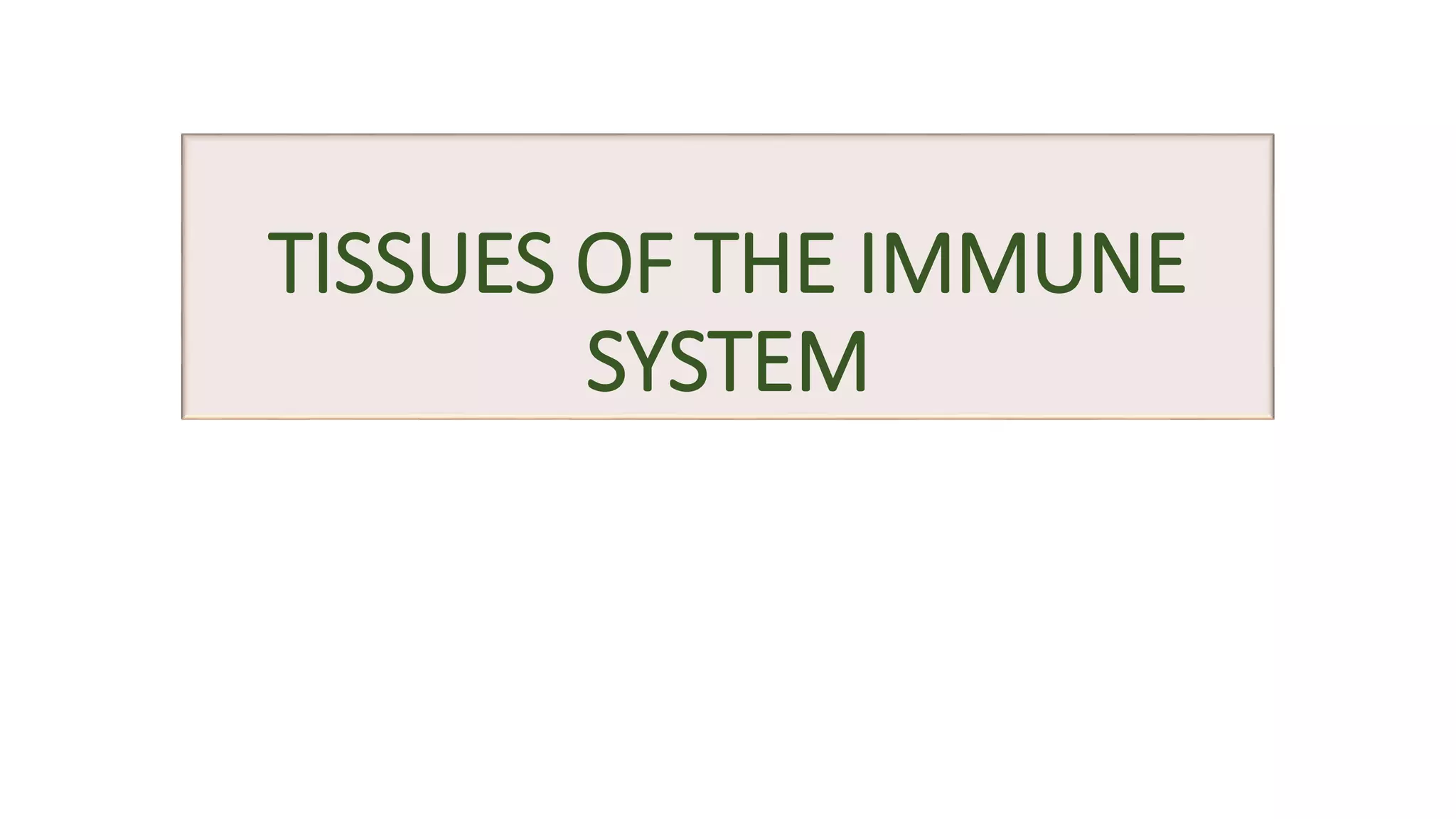 TISSUES OF THE IMMUNE
SYSTEM
 