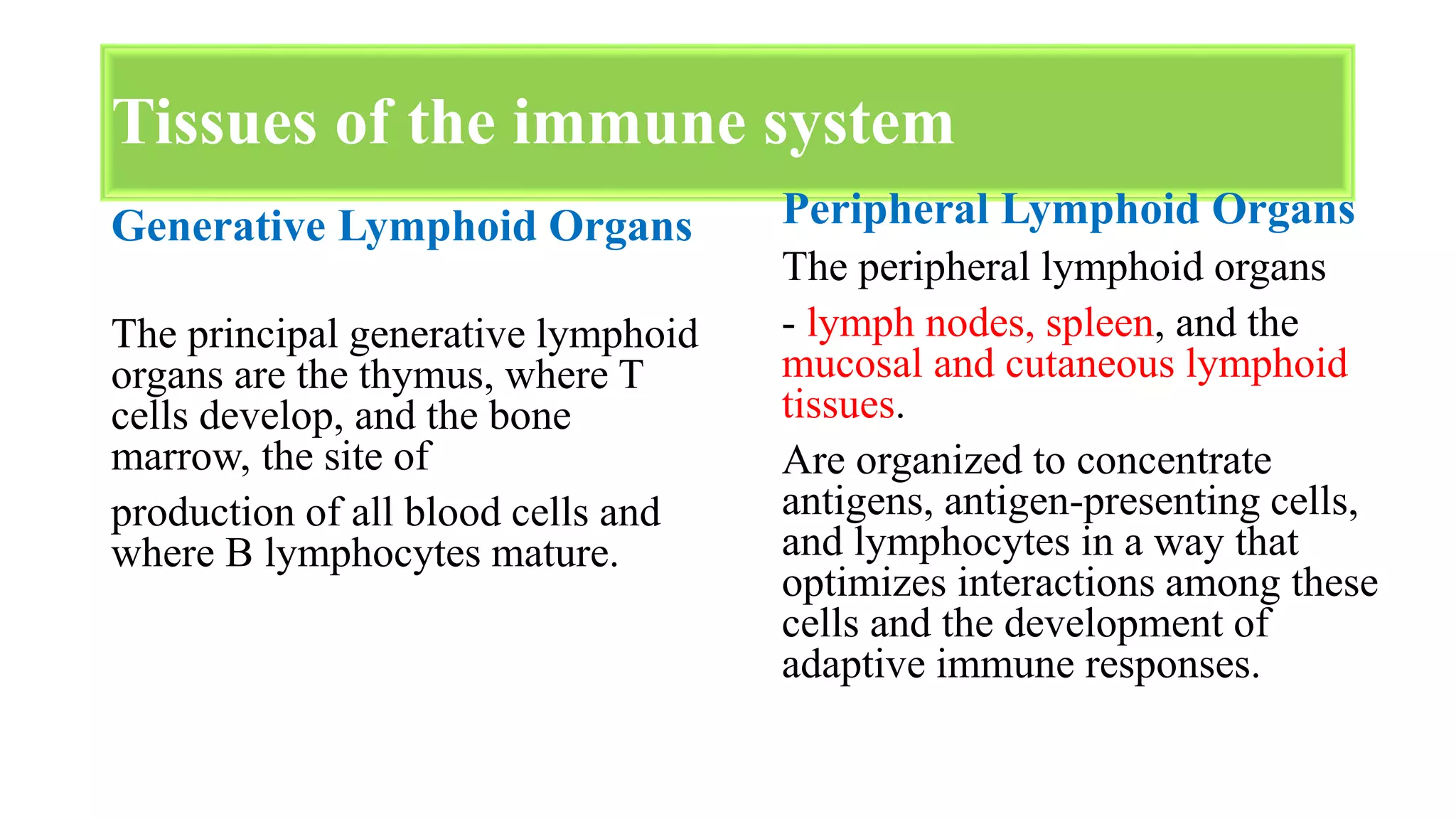 Tissues of the immune system
Generative Lymphoid Organs
The principal generative lymphoid
organs are the thymus, where T
cells develop, and the bone
marrow, the site of
production of all blood cells and
where B lymphocytes mature.
Peripheral Lymphoid Organs
The peripheral lymphoid organs
- lymph nodes, spleen, and the
mucosal and cutaneous lymphoid
tissues.
Are organized to concentrate
antigens, antigen-presenting cells,
and lymphocytes in a way that
optimizes interactions among these
cells and the development of
adaptive immune responses.
 