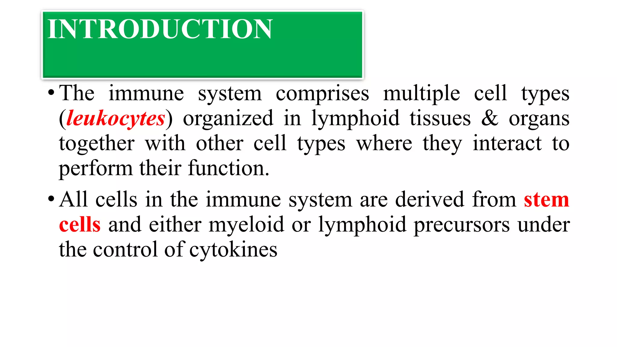 INTRODUCTION
• The immune system comprises multiple cell types
(leukocytes) organized in lymphoid tissues & organs
together with other cell types where they interact to
perform their function.
• All cells in the immune system are derived from stem
cells and either myeloid or lymphoid precursors under
the control of cytokines
 