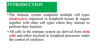 Cells and tissues of the immune system | PPTX