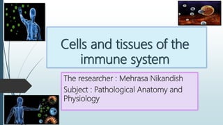 Cells and tissues of the
immune system
The researcher : Mehrasa Nikandish
Subject : Pathological Anatomy and
Physiology
 