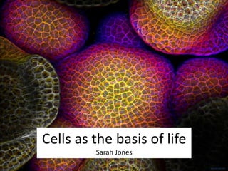 biocanvas.net
Cells as the basis of life
Sarah Jones
 