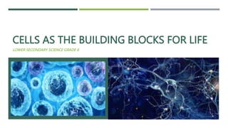 CELLS AS THE BUILDING BLOCKS FOR LIFE
LOWER SECONDARY SCIENCE GRADE 6
 