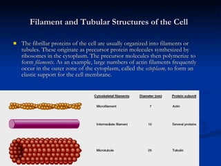 Filament Body Cells as the living units of the body | PPT