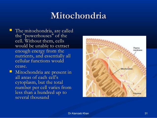Cells as the living units of the body