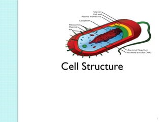 Cells Cell Biology Leacture 2