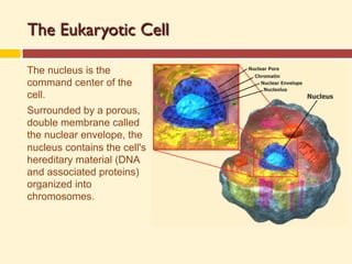 Prep Cell Building Cells_Building_Blocks_Presentation.pdf