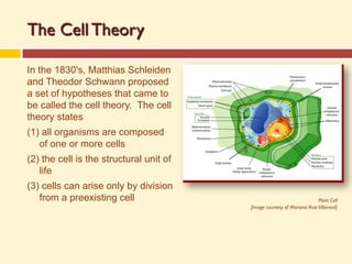 Cells_Building_Blocks_Presentation.pdf