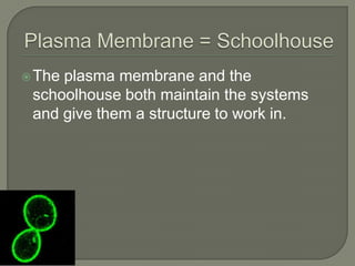 Plasma Membrane = SchoolhouseThe plasma membrane and the schoolhouse both maintain the systems and give them a structure to work in.