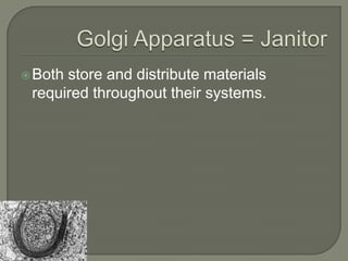 Golgi Apparatus = JanitorBoth store and distribute materials required throughout their systems.