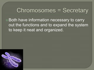 Chromosomes = SecretaryBoth have information necessary to carry out the functions and to expand the system to keep it neat and organized.