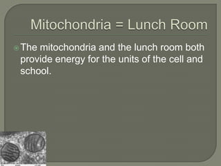 Mitochondria = Lunch RoomThe mitochondria and the lunch room both provide energy for the units of the cell and school.