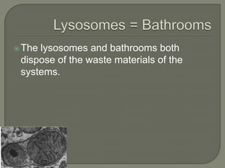 Lysosomes = BathroomsThe lysosomes and bathrooms both dispose of the waste materials of the systems.