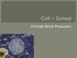 Cell = School A Hunter Brock Production 