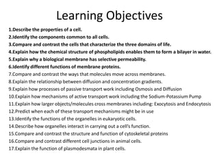 Learning Objectives
1.Describe the properties of a cell.
2.Identify the components common to all cells.
3.Compare and contrast the cells that characterize the three domains of life.
4.Explain how the chemical structure of phospholipids enables them to form a bilayer in water.
5.Explain why a biological membrane has selective permeability.
6.Identify different functions of membrane proteins.
7.Compare and contrast the ways that molecules move across membranes.
8.Explain the relationship between diffusion and concentration gradients.
9.Explain how processes of passive transport work including Osmosis and Diffusion
10.Explain how mechanisms of active transport work including the Sodium-Potassium Pump
11.Explain how larger objects/molecules cross membranes including: Exocytosis and Endocytosis
12.Predict when each of these transport mechanisms might be in use
13.Identify the functions of the organelles in eukaryotic cells.
14.Describe how organelles interact in carrying out a cell’s function.
15.Compare and contrast the structure and function of cytoskeletal proteins
16.Compare and contrast different cell junctions in animal cells.
17.Explain the function of plasmodesmata in plant cells.
 