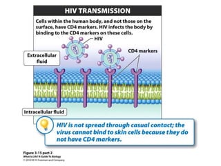 Cells (cytology) pt 1