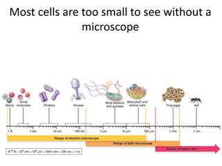 Most cells are too small to see without a
microscope
 