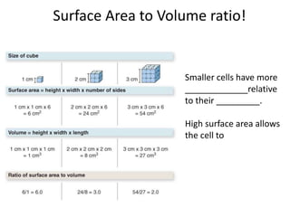 Surface Area to Volume ratio!
Smaller cells have more
_____________relative
to their _________.
High surface area allows
the cell to
 