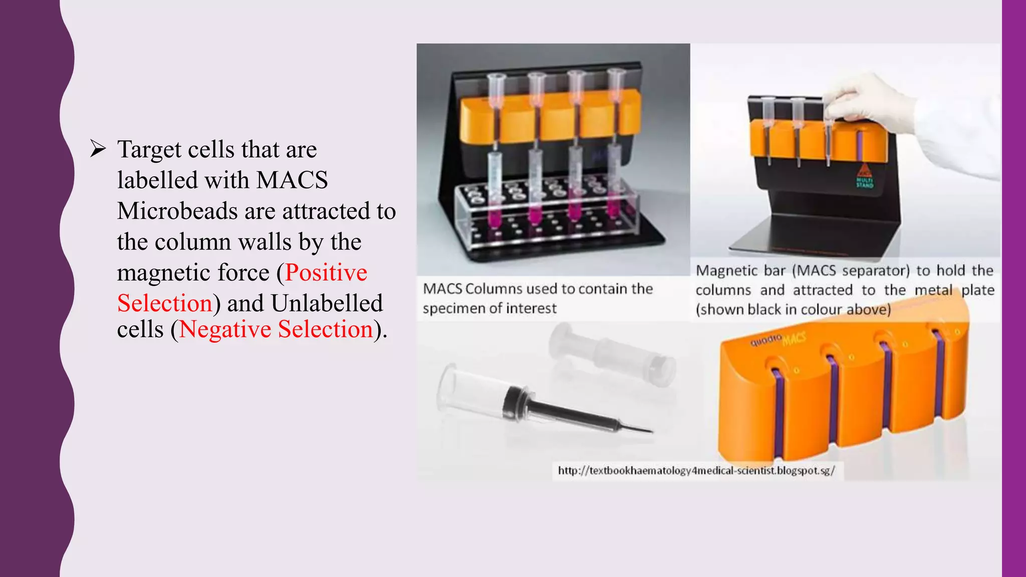 Cell sepration and flowcytometry | PPTX