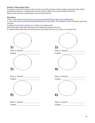 14
Section 3­ Microscope Views
To prepare you for the next lab, in this section you will be looking at slides of plant and animal cells. Follow
the directions below to complete this internet activity. (Make sure you have filled in all of the
blanks in the previous sections before you start this section.)
Directions:
1.Go to: http://www.usoe.k12.ut.us/curr/science/sciber00/7th/cells/sciber/cellphot.htm
2.‐ Draw the cells you see the microscope field in the circles below. The numbers on this worksheet match the
pictures.
3. Label on the first line whether it is a Plant or an Animal cells.
(Hint: Remember that plant cells have some things that animal cells don’t.
4.‐ Explain what major characteristic(s) causes you think that they are a plant or an animal cell.
!"#$%&'()*(+%#,&-#&."(/%"0-(
!"#$%&$'%&#(")#*"%#+,&#-&.+#/'01#2-#+,23#3&4+2"-#(")#52//#0&#/""62-7#'+#3/28&3#"*#$/'-+#'-8#'-29'/#4&//3:
;"//"5#+,R%&4+2"-3#0&/"5#+"#4"9$/&+&#+,23#2-+&%-&+#'4+2<2+(:##=>'6)%&#(")#,'<&#*2//&8#2-#'//#"*#+,&
0/'-63#2-#+,&#$%&<2")3#3&4+2"-3#0&*"%&#(")#3+'%+#+,23#3&4+2"-:?!
"#$%&'(#&)!
*+,!-$!.$)!
/..0)11222+(3$&+4*5+(.+(31%(##13%6&7%&13%68ϟ:./1%&;;313%68%&;;0/$.+/.<!
5+,!=#>2!./&!%&;;3!?$(!3&&!./&!<6%#$3%$0&!@6&;'!67!./&!%6#%;&3!8&;$2+!!A/&!7(<8!$7!./63!2$#43/&&.!<>.%
./&!06%.(#&3+!
B+,!C>8&;!$7!./&!@6#3.!;67&!2/&./&# 6.!63!>!";>7.!$#!>7!D76<>; %&;;3+!EF67.)!G&<&<8&#!./>.!0;>7.!%&;;3!/>H&!
3$<&!./67I3!./>.!>76<>;!%&;;3!'$7J.+!!A/674!>8$(.!2/>.!G$8&#.!F$$4&!3>2!2/&7!/&!;$$4&'!>.!>76<>;!%&;;3
L+,!MN0;>67!2/>.!<>O$#!%/>#>%.?.6%E3K!%>(3&3!?$(!./674!./>.!./&?!>#&!>!0;>7.!$#!>7!>76<>;!%&;;+!
*K! 5K!
"#$%&!'(!)%*+$#,------------------! "#$%&!'(!)%*+$#,------------------!
./0#$*%1!------------------------! ./0#$*%1!------------------------!
BK! LK!
"#$%&!'(!)%*+$#,------------------! "#$%&!'(!)%*+$#,------------------!
./0#$*%1!------------------------! ./0#$*%1!------------------------!
PK! QK!
"#$%&!'(!)%*+$#,------------------! "#$%&!'(!)%*+$#,------------------!
./0#$*%1!------------------------! ./0#$*%1!------------------------
 