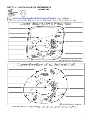 7
ACTIVITY 6: PLANT AND ANIMAL CELL ORGANELLES QUIZ
My Partner(s): __________________________________________________________
1. Go to http://www.lahc.cc.ca.us/biology/bio3/mchernoff/quiz.html (or my web page)
2. Fill in your answers on the diagrams below and then compare them to the correct answer page.
Check the questions you got correct: 3 4 5 6 7 8 9 10 11 12
Scientist of the Week ! Partner Quiz Performance
Journal Reflection #5 Performance
The whole packet is done (YAY!) Performance
Explore the Cell Movies Clip Gallery at : http://www.cytographics.com/gallery/clips/cg.html
• Reproduction in Volvox
• The rotifer Collotheca feeding on Chlamydomonas
• This basic little amoeba is a predator!
• Three eggs of the African toad Xenopus
• Morphogenesis in the desmid Micrasterias sp.
• Euglena writhing
Pick one of the clips and describe what you see for
Journal Observation #2
z correct. If you have trouble recognizing the diagrams,
iew at:
min/science/sbi3a1/Cells/cells.htm
!!!!!!!!!!!!!!!!!!!!!!!!!!!!!!!!!!
t the Scientist of the Week
Helmont)
the Scientist of the Week
expert on their part of the
hem take it. Correct your
van Helmont is and what he
ould be stapled to the back of this packet.
!!!!!!!!!!!!!!!!!!!!!!!!!!!!!!!!!!
are in order, from smallest to largest:
gan molecule tissue community organ system
Structure
and animal cells have so many
mals seem so different.
 