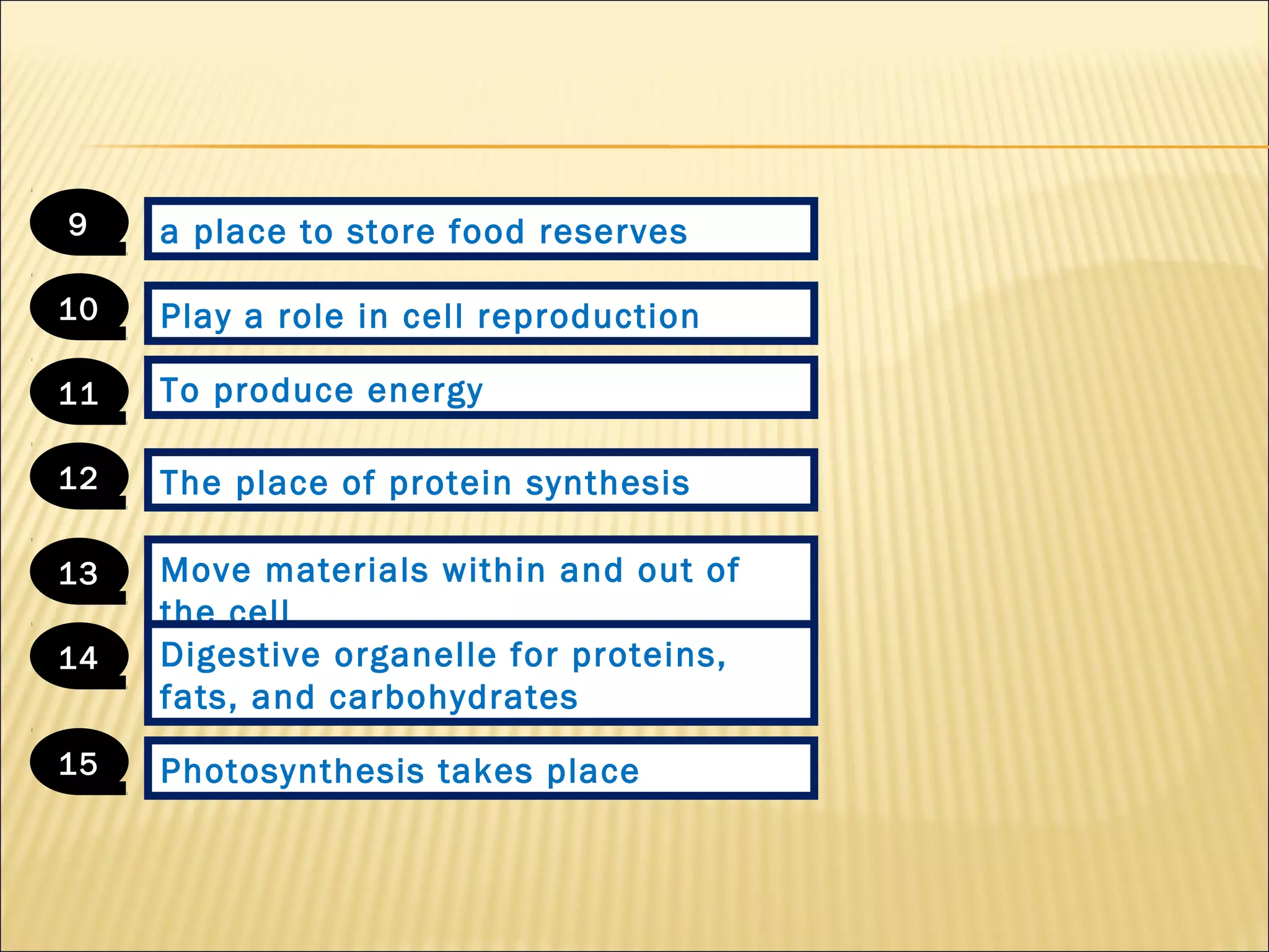 The place of protein synthesis
9
To produce energy
10
Move materials within and out of
the cell
11
Digestive organelle for proteins,
fats, and carbohydrates
12
a place to store food reserves
13
Play a role in cell reproduction
14
Photosynthesis takes place15
 