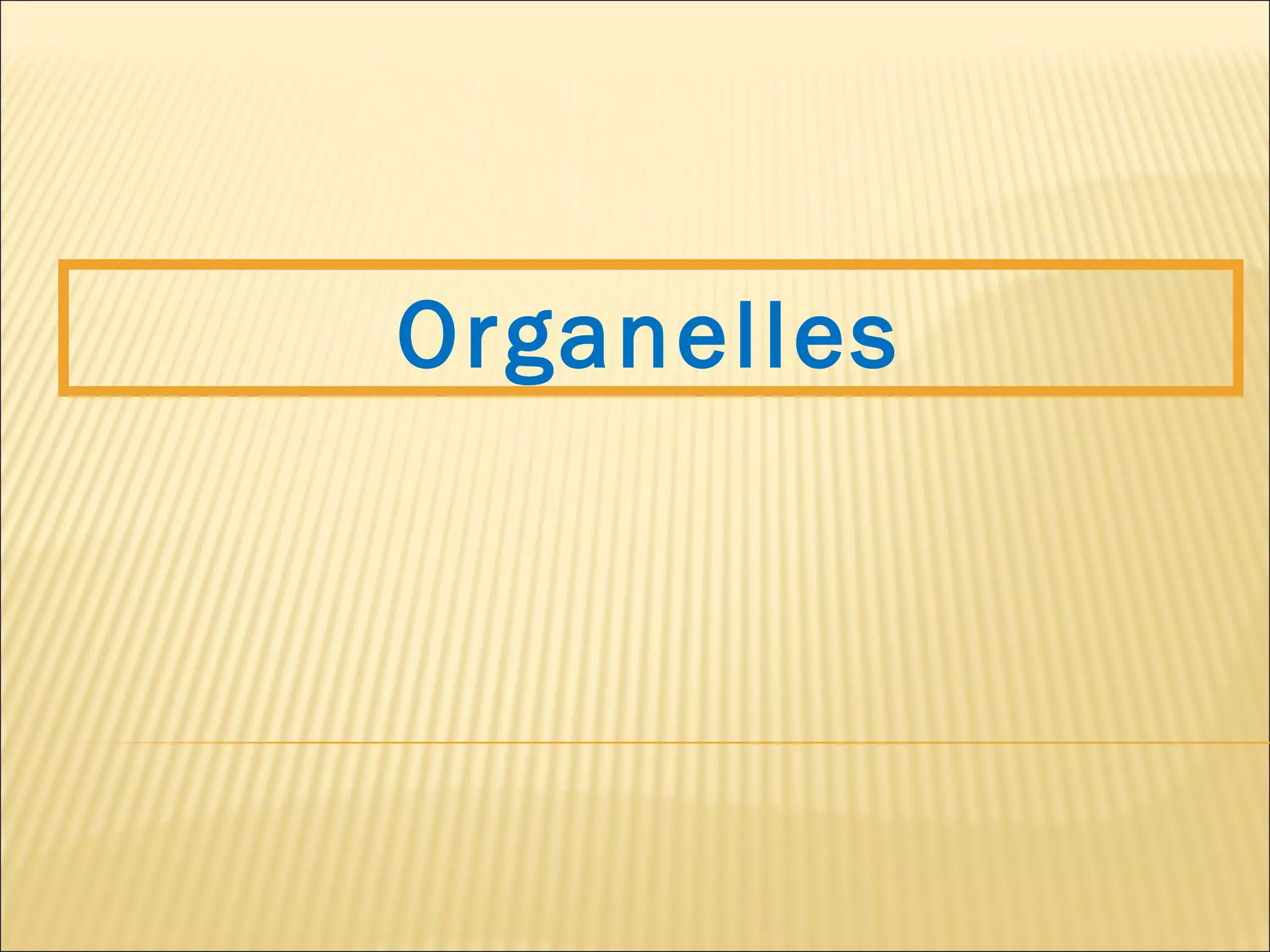 Organelles
 