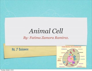 Animal Cell
                                By: Fatima Zamora Ramirez.


                     Pd . 7 S cien ce




Thursday, October 4, 2012
 