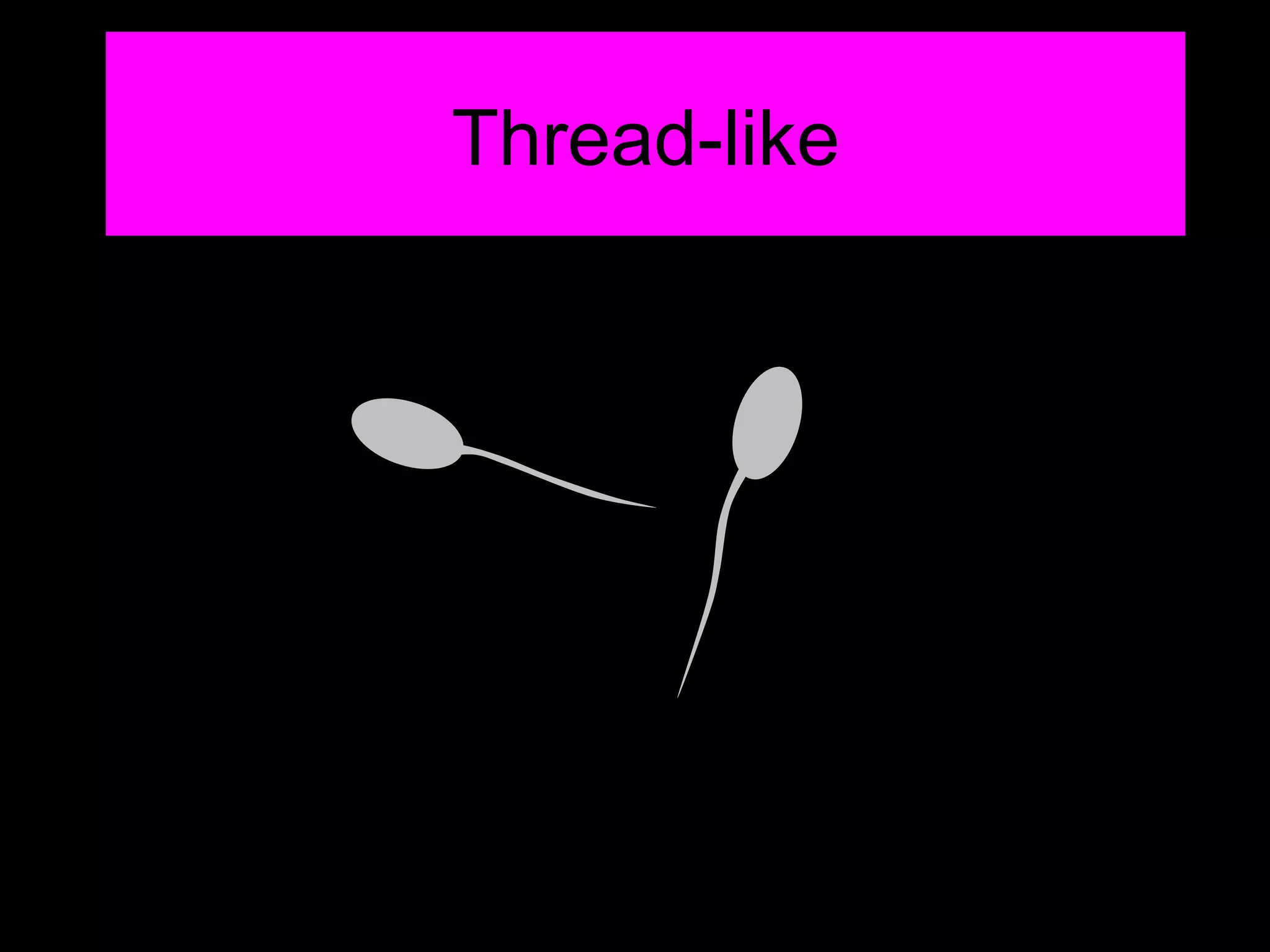 Thread-like 