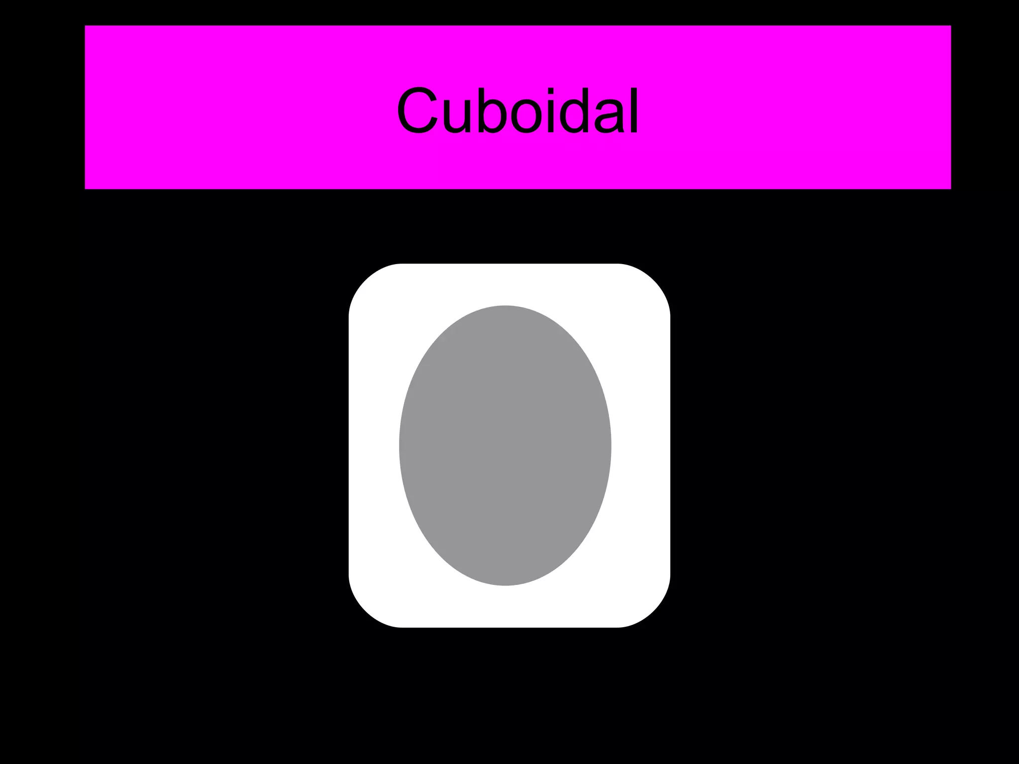 Cuboidal 