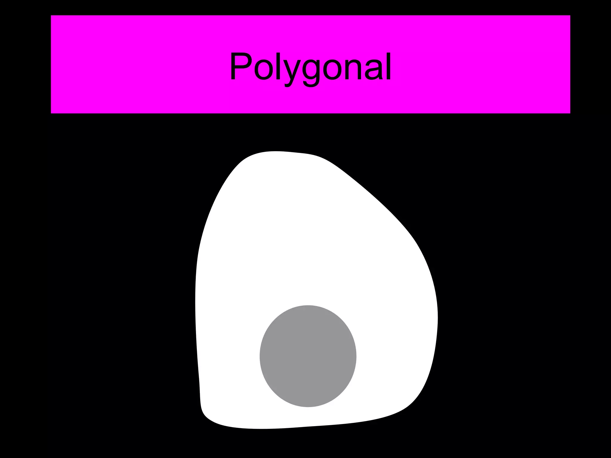Polygonal 