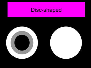 Disc-shaped