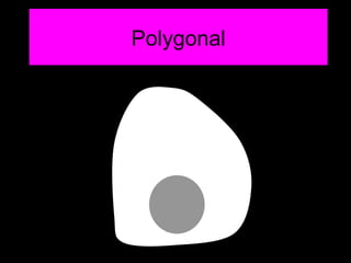 Polygonal
