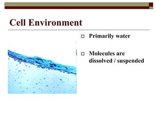 Cell Environment
 Primarily water
 Molecules are
dissolved / suspended
 