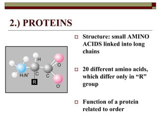 2.) PROTEINS
 Structure: small AMINO
ACIDS linked into long
chains
 20 different amino acids,
which differ only in “R”
group
 Function of a protein
related to order
 