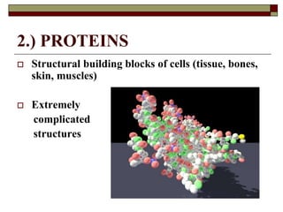 2.) PROTEINS
 Structural building blocks of cells (tissue, bones,
skin, muscles)
 Extremely
complicated
structures
 