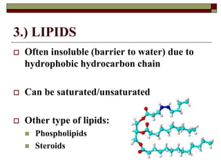 3.) LIPIDS
 Often insoluble (barrier to water) due to
hydrophobic hydrocarbon chain
 Can be saturated/unsaturated
 Other type of lipids:
 Phospholipids
 Steroids
 
