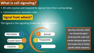 What is cell signaling?
• All cells receive and respond to signals from their surroundings
• Communication between cells.
Hormone
Growth factor
Cytokine
Steroid
Polypeptide
Signal from where?
The ligand is the signaling molecule. ligand may be
Signaling molecules, which
are released by signal-
producing cells, reach and
transfer biological signals to
their target cells to initiate
specific cellular responses
 