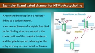Example- ligand gated channel for NTMs-Acetycholine
• Acetylcholine receptor is a receptor
linked to a cation channel.
• As two molecules of acetylcholine bind
to the binding sites on a subunits, the
conformation of the receptor is altered
and the gate is opened, allowing for the
entry of many ions and small molecules.
 