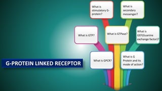 G-PROTEIN LINKED RECEPTOR
What is GPCR?
What is G
Protein and its
mode of action?
What is GTP? What is GTPase?
What is
GEF(Guanine
exchange factor)?
What is
stimulatory G-
protein?
What is
secondary
messenger?
 