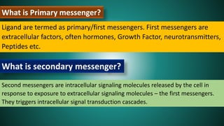 What is Primary messenger?
Ligand are termed as primary/first messengers. First messengers are
extracellular factors, often hormones, Growth Factor, neurotransmitters,
Peptides etc.
What is secondary messenger?
Second messengers are intracellular signaling molecules released by the cell in
response to exposure to extracellular signaling molecules – the first messengers.
They triggers intracellular signal transduction cascades.
 