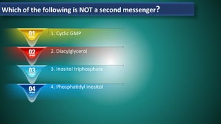 Which of the following is NOT a second messenger?
1. Cyclic GMP
2. Diacylglycerol
3. Inositol triphosphate
4. Phosphatidyl inositol
 