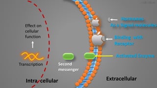 Hormones
As a Signal molecules
Binding with
Receptor
Activated Enzyme
Second
messenger
Transcription
Effect on
cellular
function
 