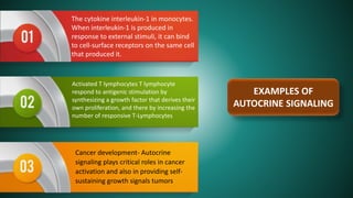 The cytokine interleukin-1 in monocytes.
When interleukin-1 is produced in
response to external stimuli, it can bind
to cell-surface receptors on the same cell
that produced it.
Activated T lymphocytes T lymphocyte
respond to antigenic stimulation by
synthesizing a growth factor that derives their
own proliferation, and there by increasing the
number of responsive T-Lymphocytes
Cancer development- Autocrine
signaling plays critical roles in cancer
activation and also in providing self-
sustaining growth signals tumors
EXAMPLES OF
AUTOCRINE SIGNALING
 