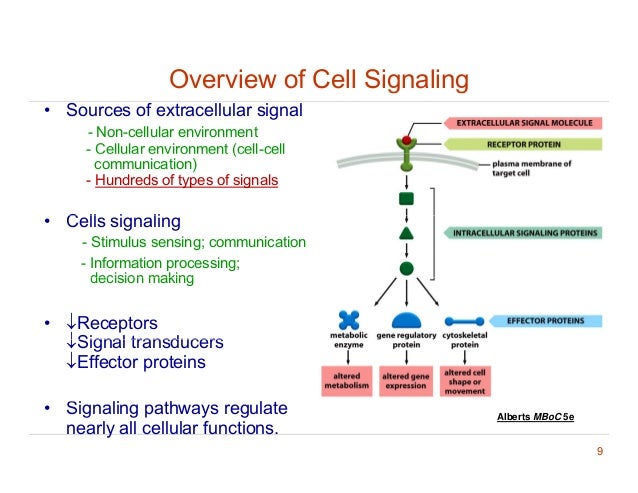 Cell signaling