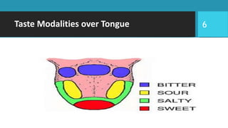 Taste Receptor | PPTX